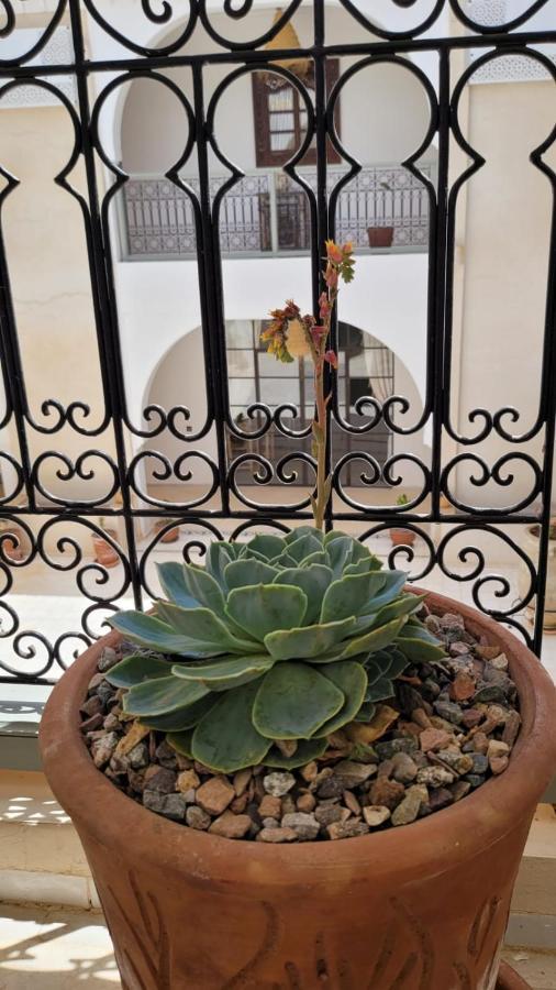Riad Nohad Marrakech Marrakesz Zewnętrze zdjęcie