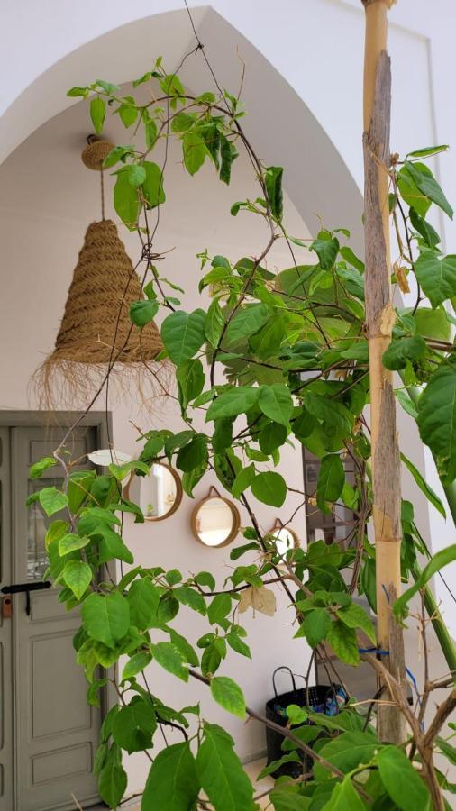 Riad Nohad Marrakech Marrakesz Zewnętrze zdjęcie